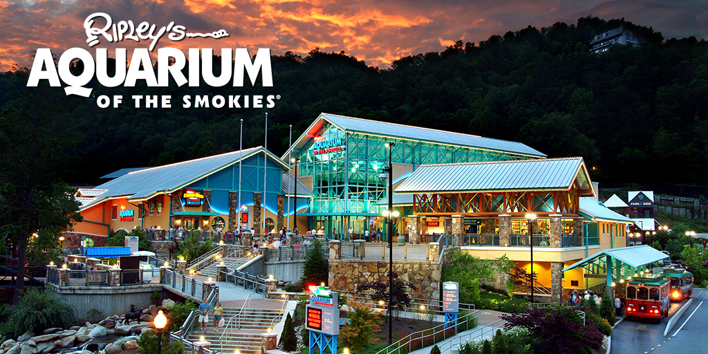 Ripley's Aquarium of the Smokies Reports The Animals Safe and Under Care - Ripley Entertainment Inc